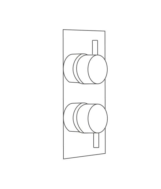 Concealed shower valve