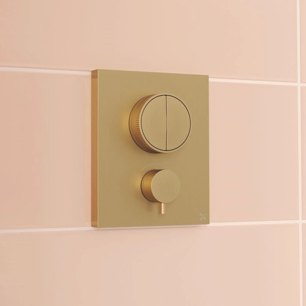 pro button close up bb