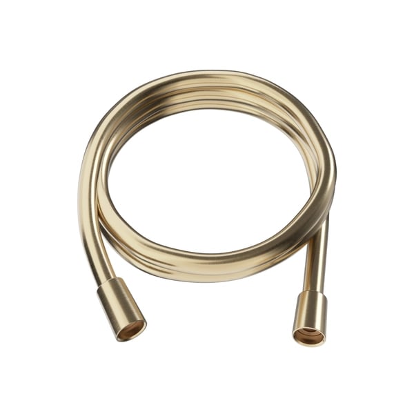 Clearwater Shower Hose