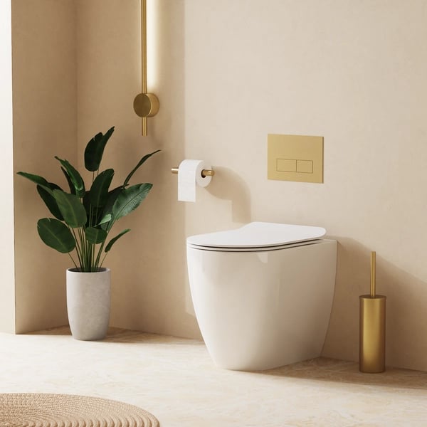 Glide II Back to Wall Toilet