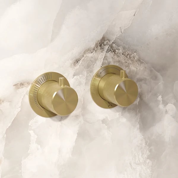 Module 3ONE6 2 Outlet Shower Valve